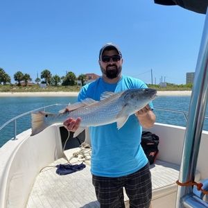 Meet your Posher, Tim